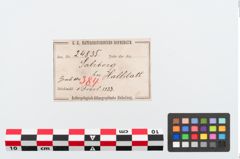 Etiketten zu Bronzebrillenfibel (NHMW-PRAE-024835)